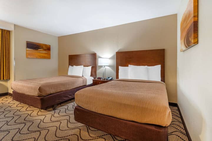 Room 15 of 40